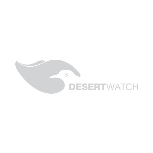 desert watch lanzarote