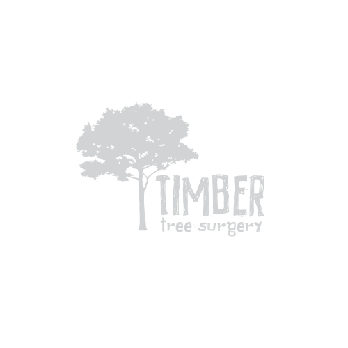 timber tree surgeon